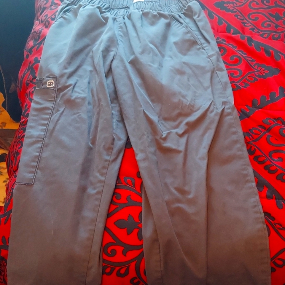 Scrub bottoms